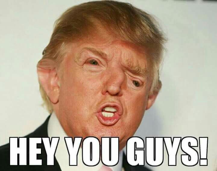 hey-you-guys-funny-donald-trump-meme-picture