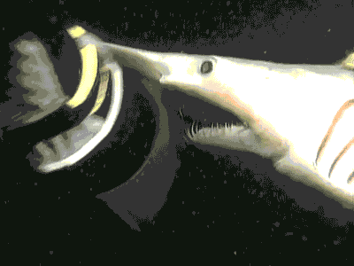 fotos-tenebrosas-tiburon