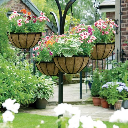 hanging-baskets