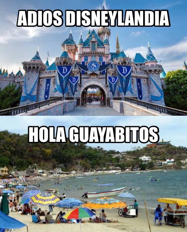 memes-elecciones