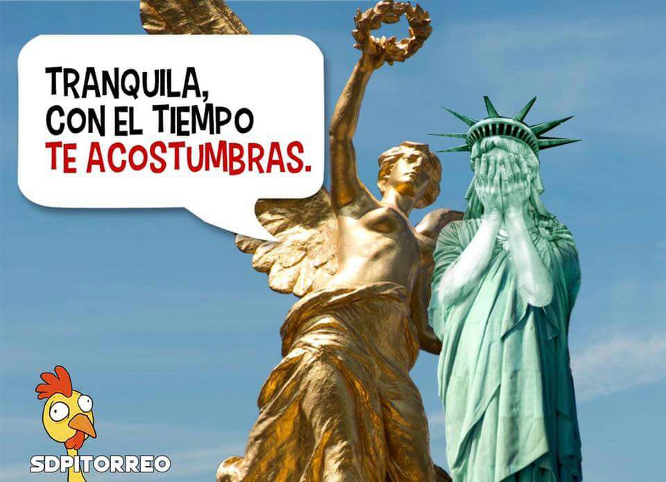 memes-elecciones
