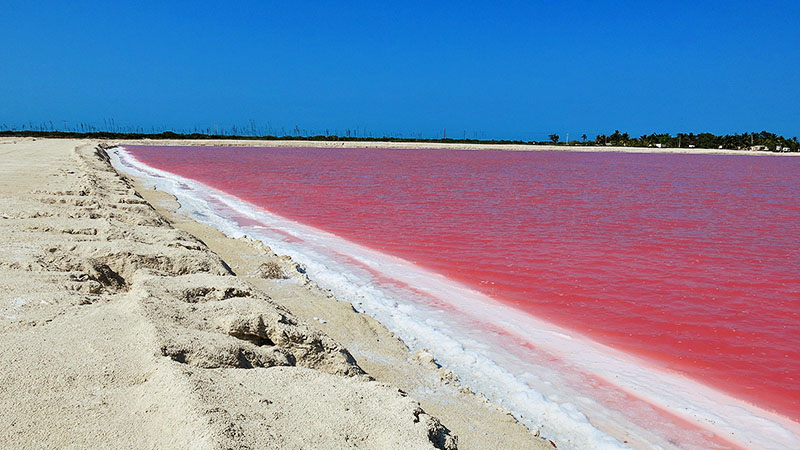 las-coloradas