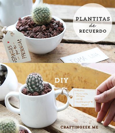 planta-cuarto