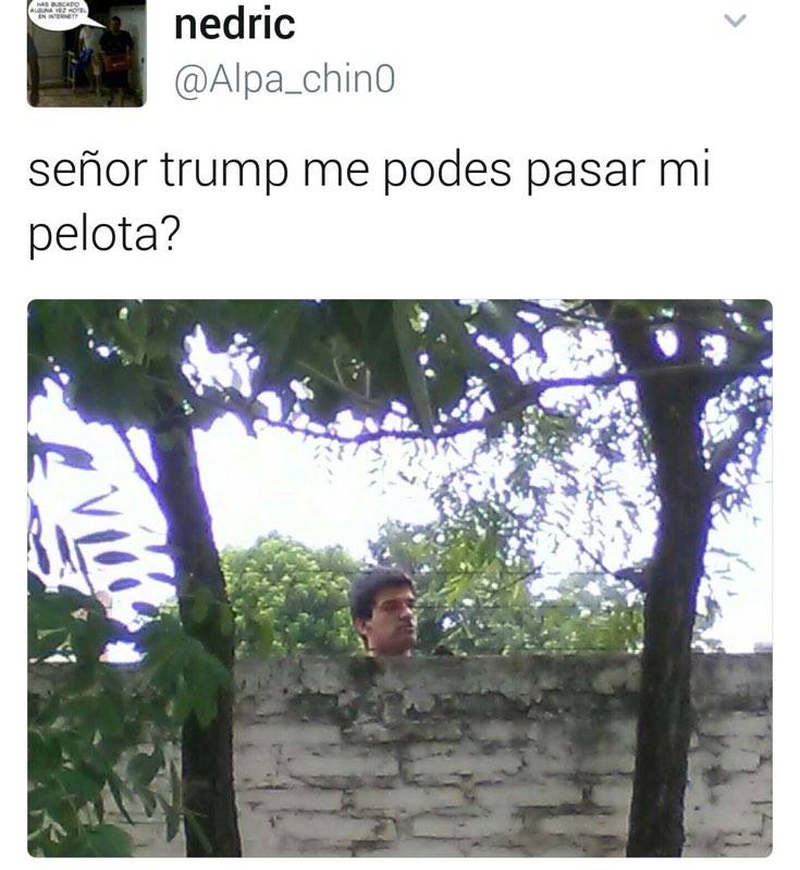 Los mejores memes del muro de Trump 1