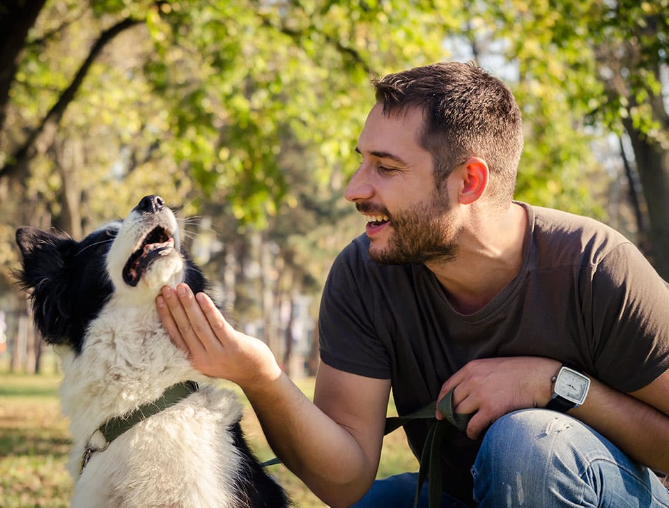 10 tips para que tu perro haga del baño