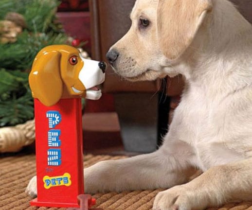 juguetes para tu perro