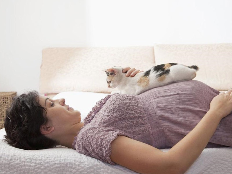 Beneficios de tener perros y gatos durante el embarazo 0