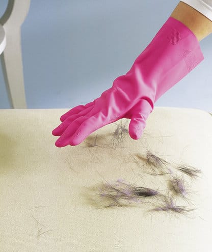 10 trucos infalibles a limpiar tu casa de los pelos de tu mascota 0