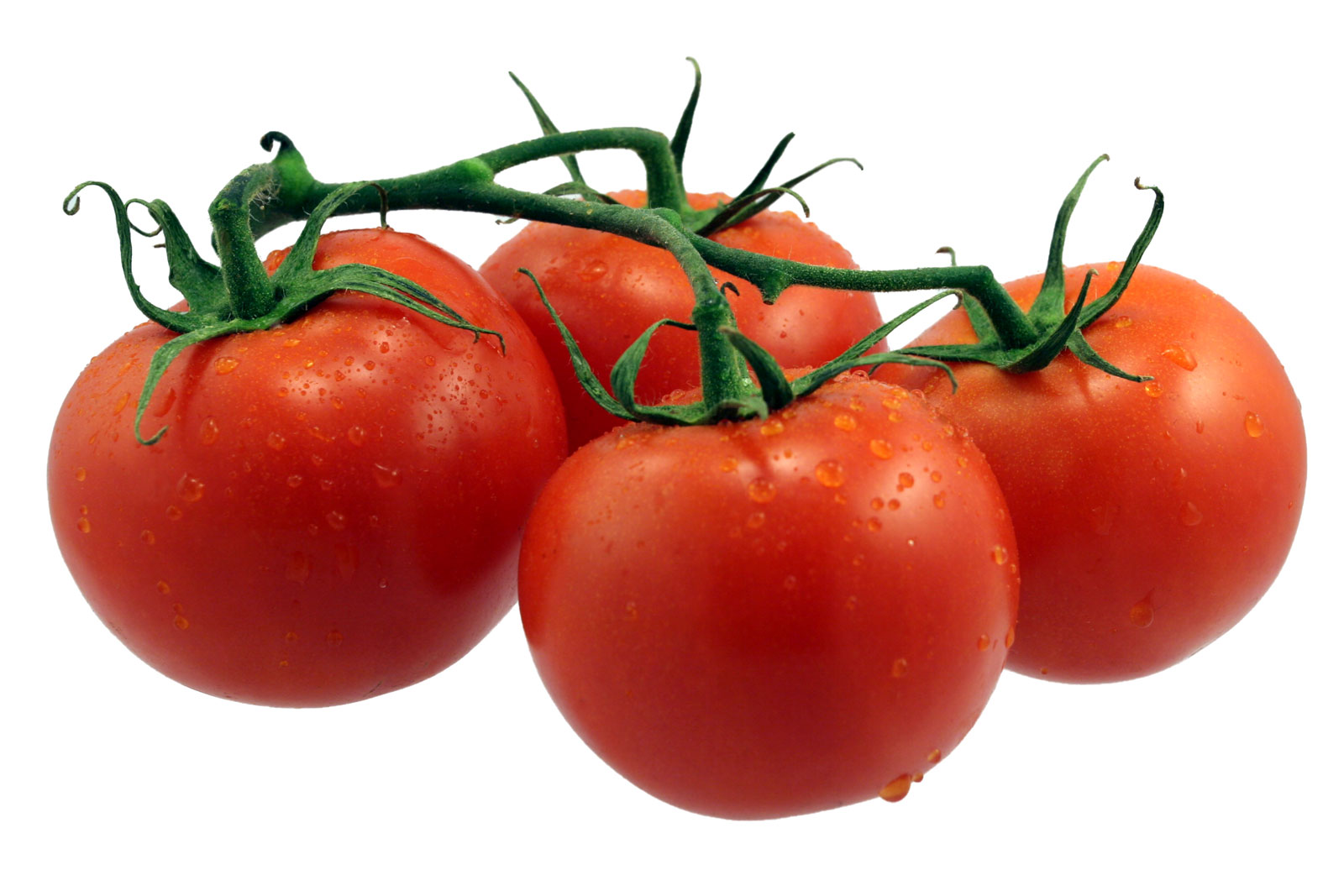 color-133-Tomato-2