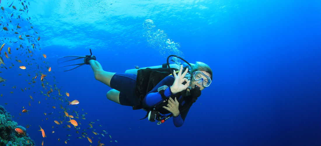 Cozumel: 6 sitios increíbles para divertirte buceando