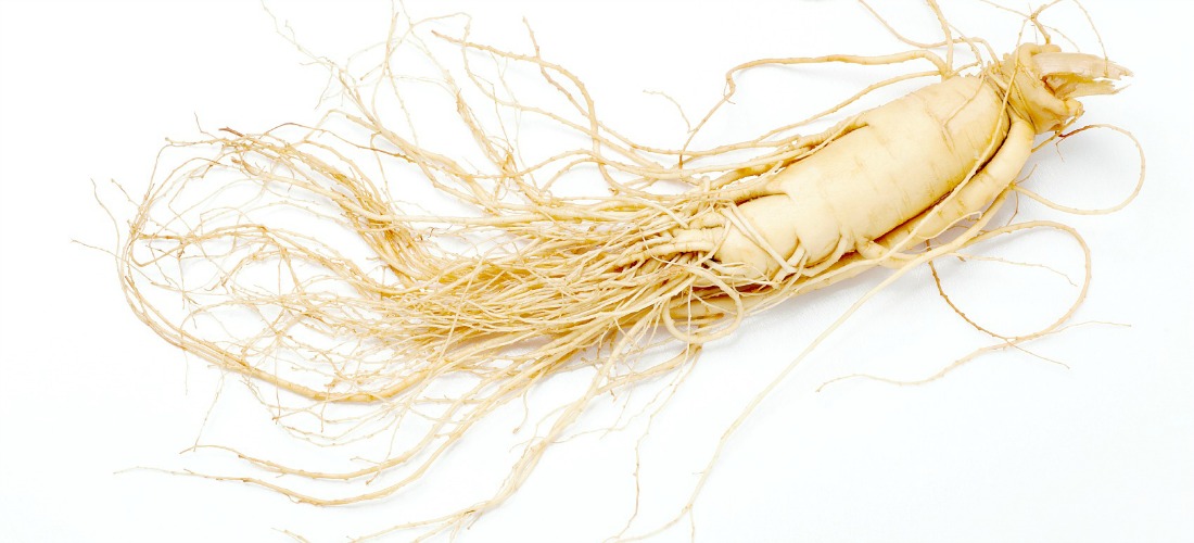 10 propiedades y beneficios  del Ginseng