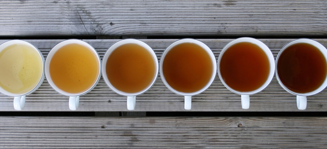 10 frases del té