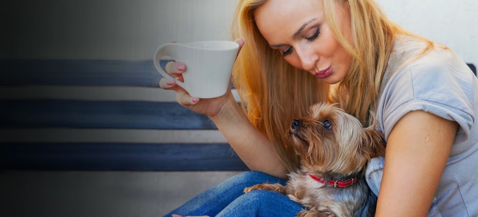 ¿Mi perro puede tomar café?
