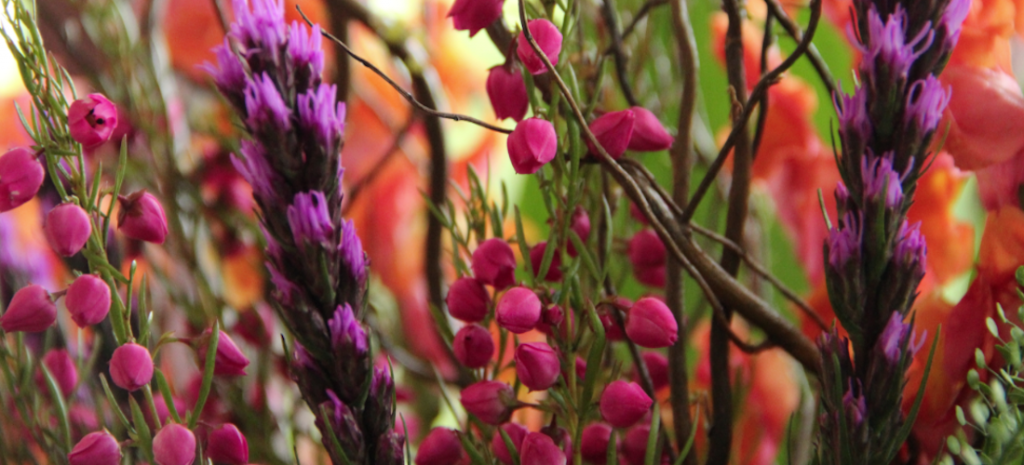 donde-comprar-flores-para-el-10-de-mayo