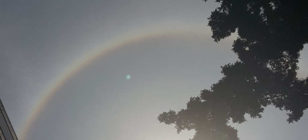 halo-solar