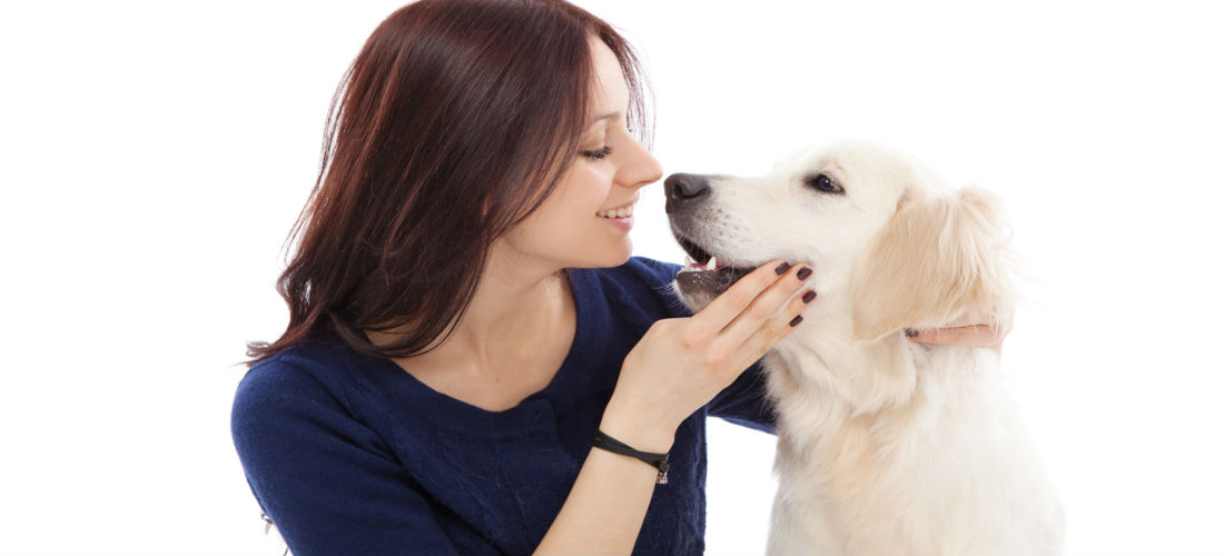 Cómo quitarle a tu ropa los pelos de perro