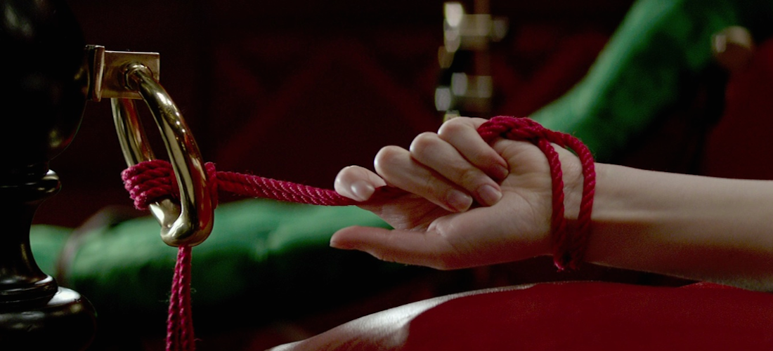 Juguetes sexuales para disfrutar con Christian Grey