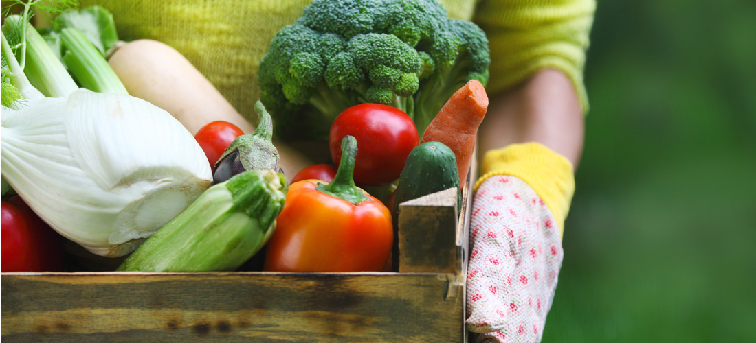 Qué alimentos comer para ser más inteligentes y cuidar nuestro peso