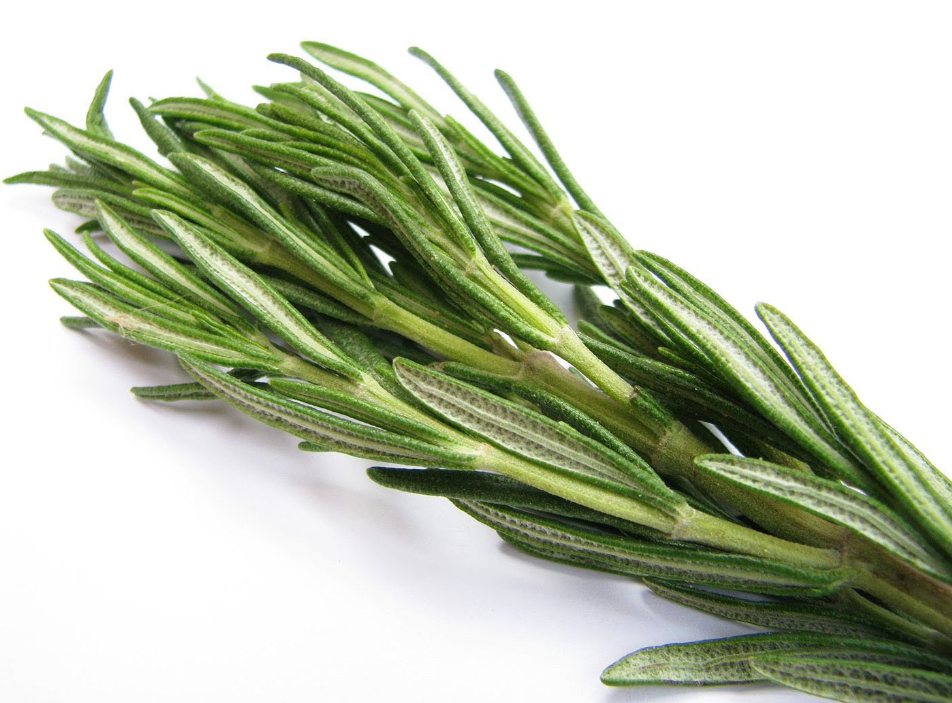 Romeritos Mujer de 10