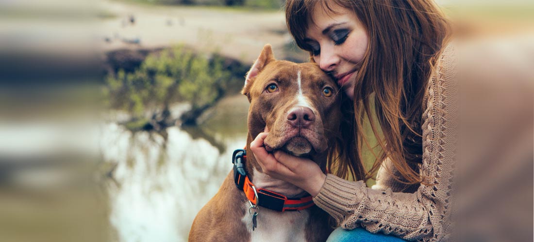 ¡Adopta un perrito! Mira por qué es una gran idea