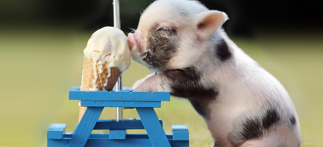 5 cosas que debes saber de la carne de cerdo