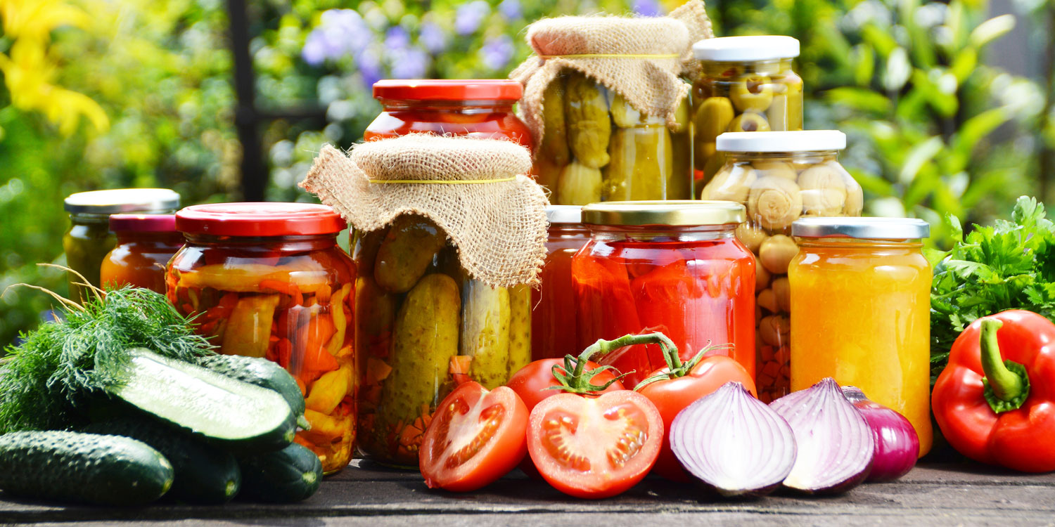 Alimentos fermentados: sistema digestivo de 10
