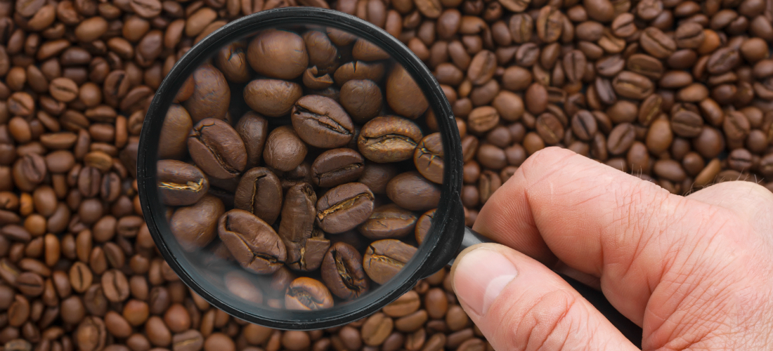 9 cosas que debes saber sobre la cafeína