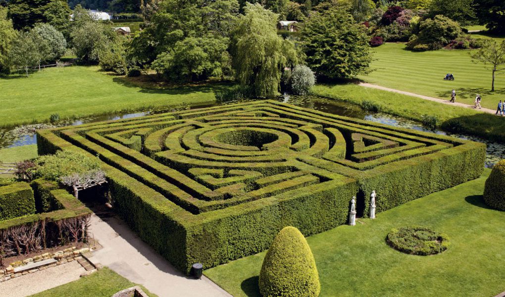 hever-castle-attractions-mazes-yew-maze-1020×599