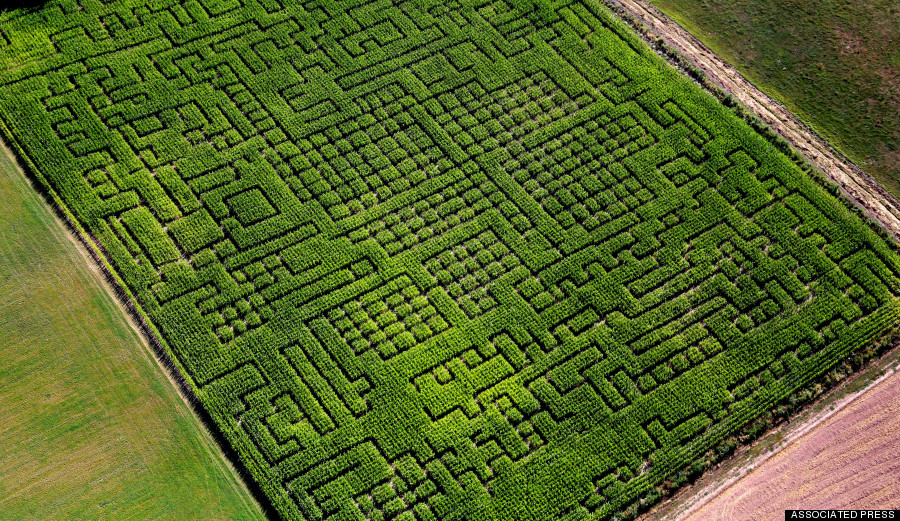 Germany Corn Maze
