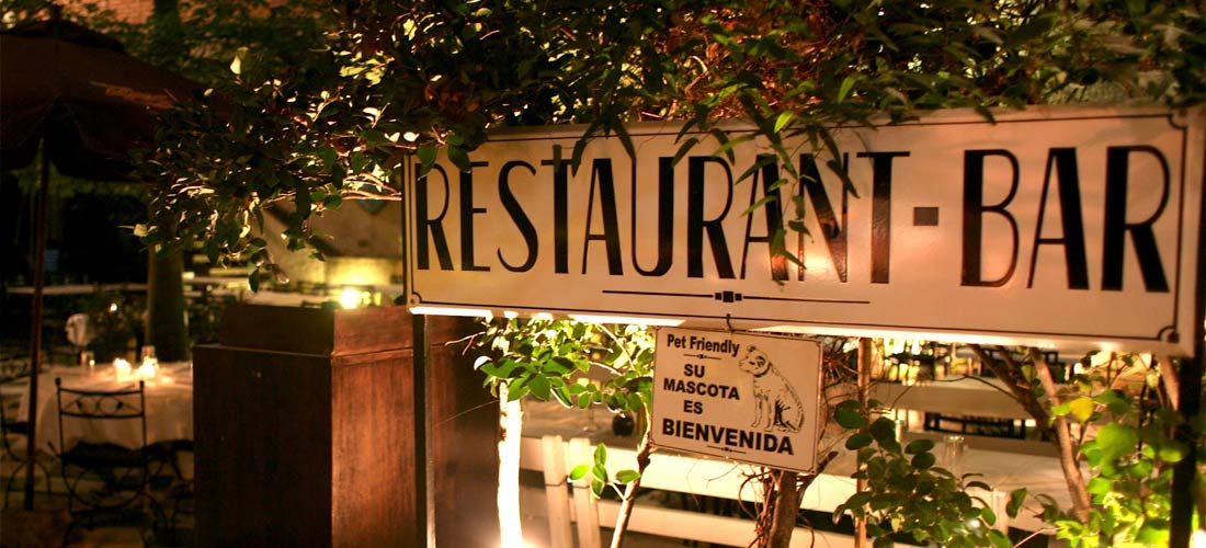 Restaurantes pet-friendly para consentir a tu amigo fiel