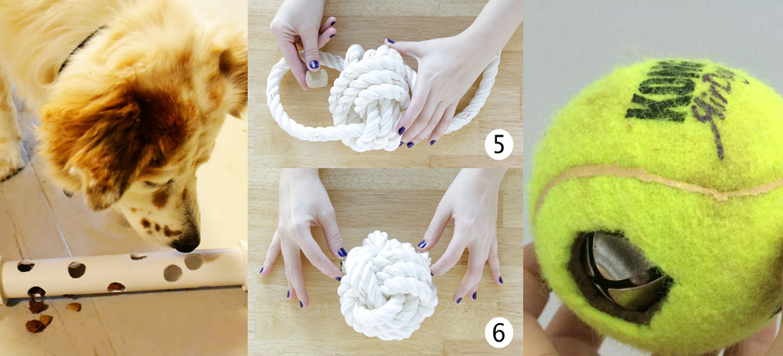 Juegos para desarrollar las habilidades de tu mascota