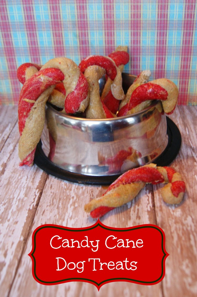 Homemade-Candy-Cane-Dog-Treats-679×1024