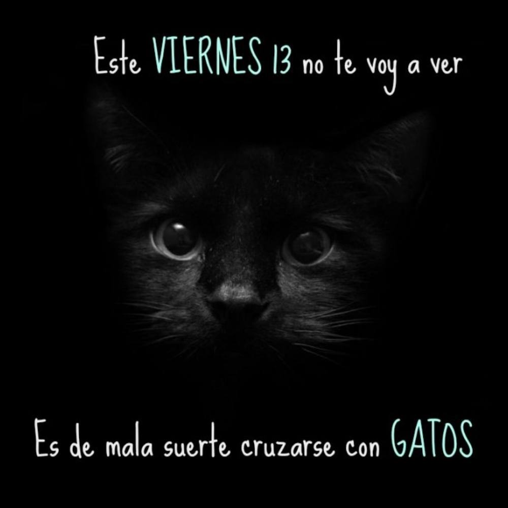 frases viernes 13