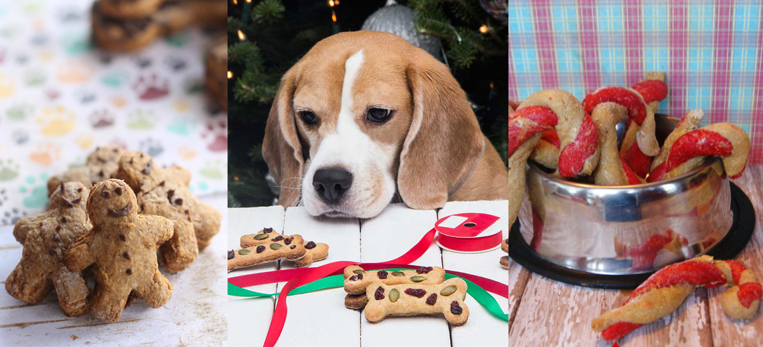 5 premios para regalar a tu perro esta Navidad