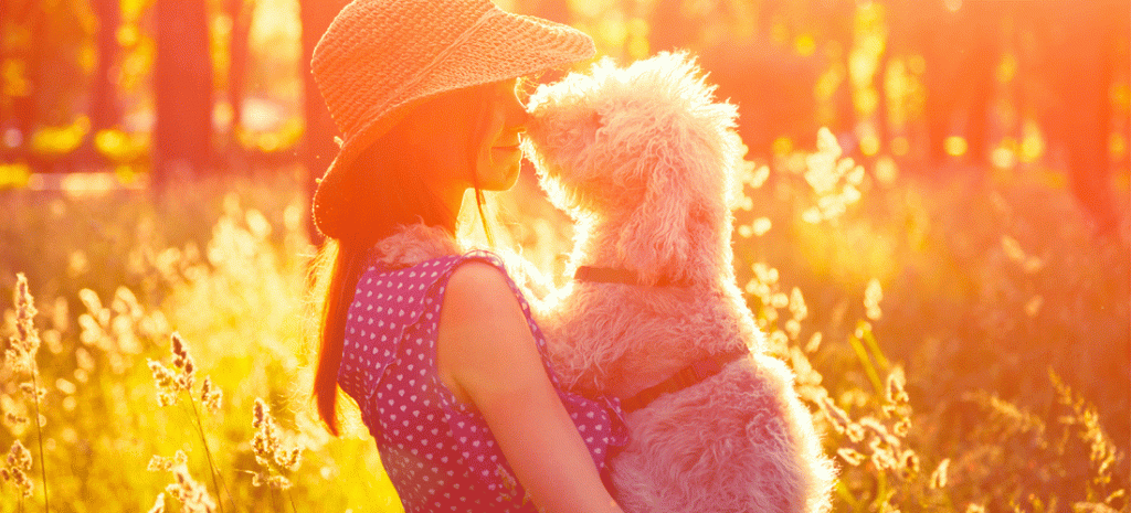 Tips para dar un paseo seguro con tu mascota