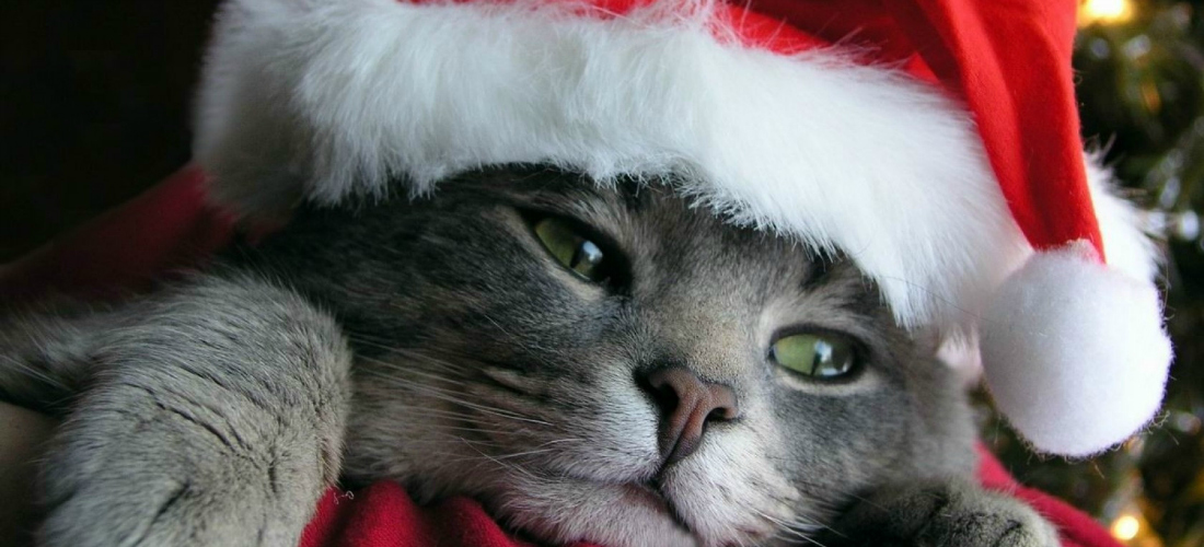 7 ridículas mentiras sobre Santa Claus que los papás suelen decir