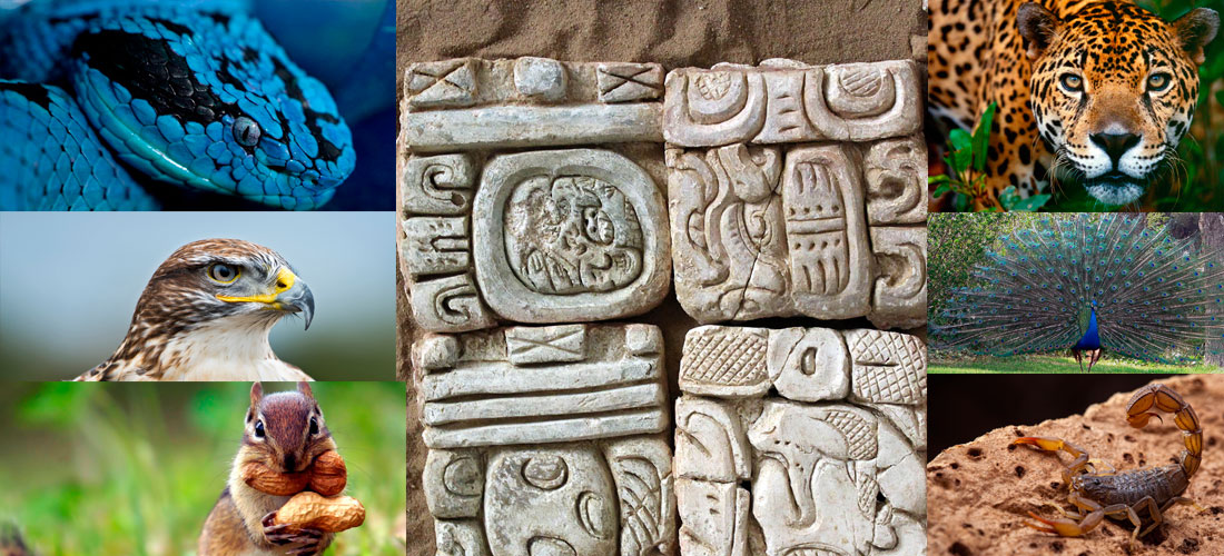 ¿Qué signo del horóscopo maya soy?
