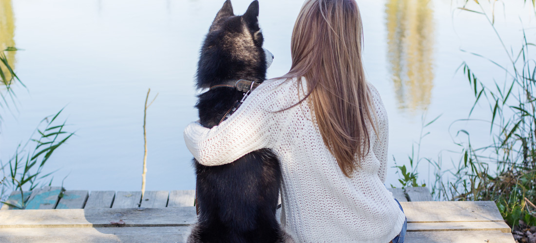 7 razones para tener un Husky