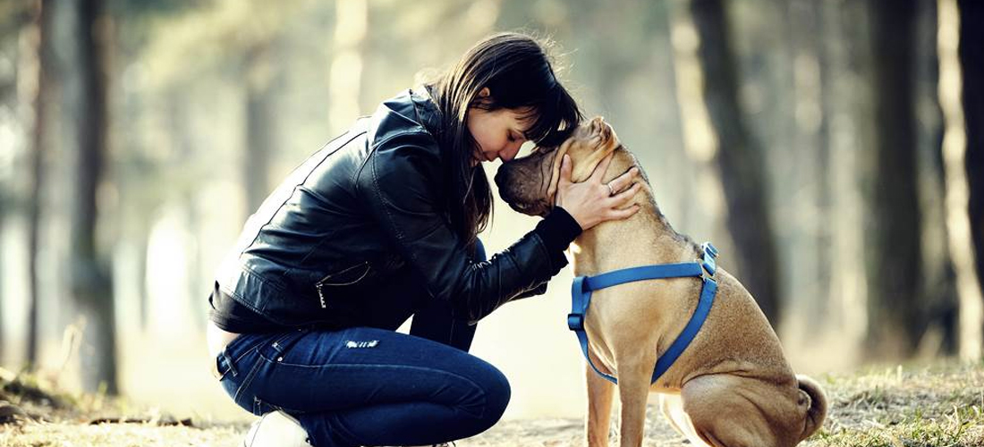 10 razones por las que tu perro es tu mejor amigo