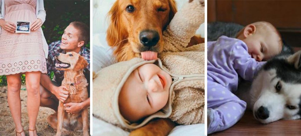 Cómo preparar a tu perro para la llegada de tu bebé