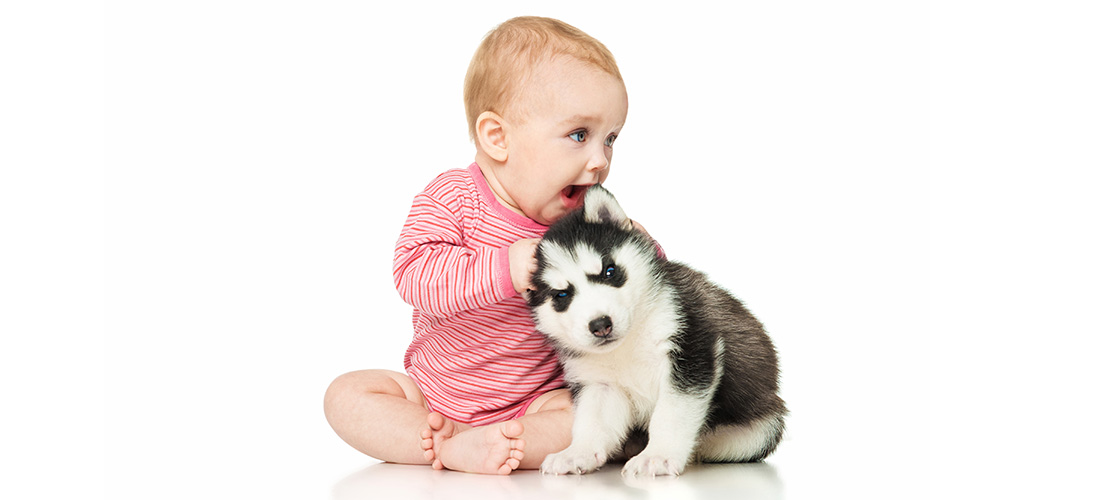 ¿Cuál es el mejor perro para tu hijo?