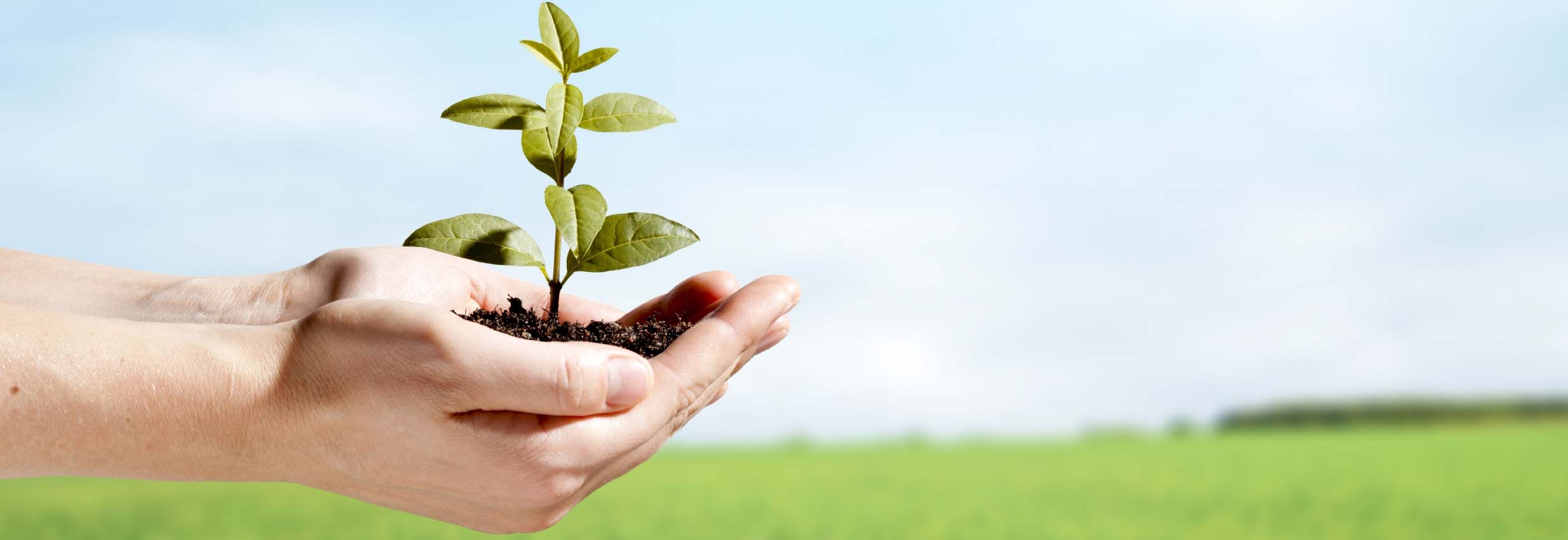 Cómo llevar un estilo de vida más green