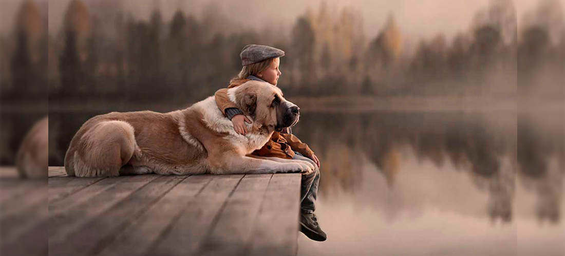 Perros y niños: Los mejores gifs que te sacarán una sonrisa