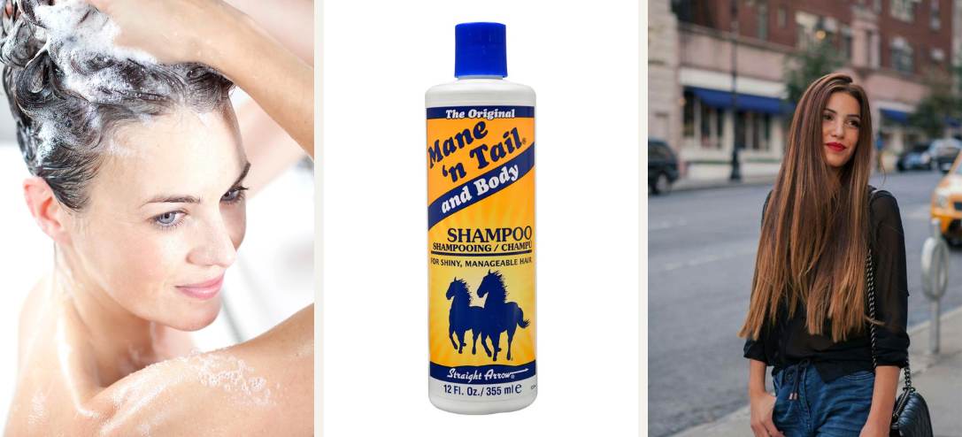 shampoo-de-caballo-beneficios
