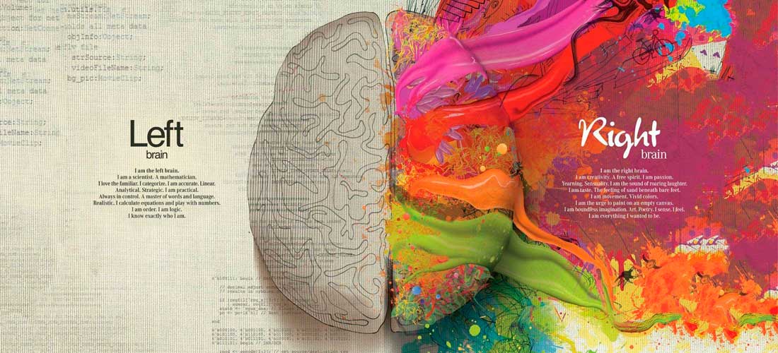 ¿Qué pasa en el cerebro cuando leemos un libro?