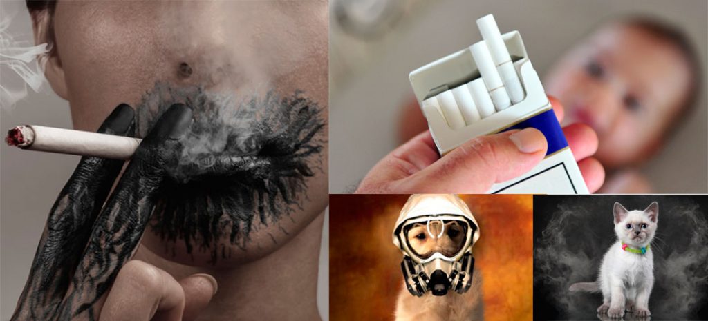 ¿En qué les afecta el humo del tabaco a niños y mascotas?