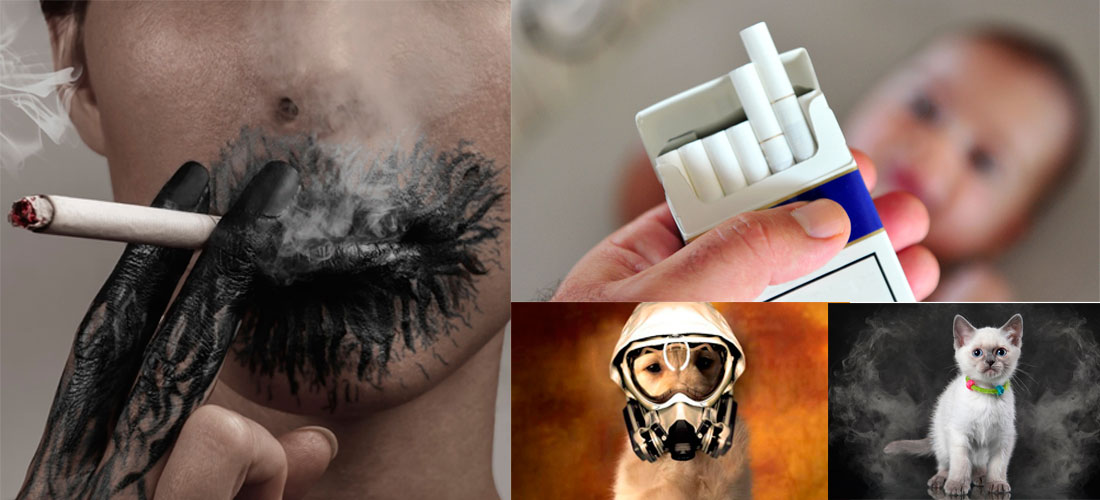 ¿En qué les afecta el humo del tabaco a niños y mascotas?