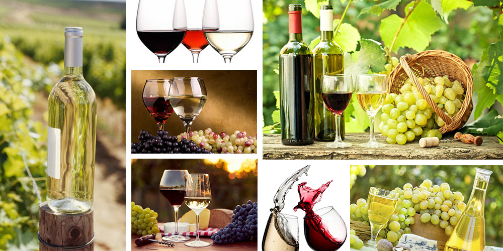 9 datos interesantes que debes saber del vino