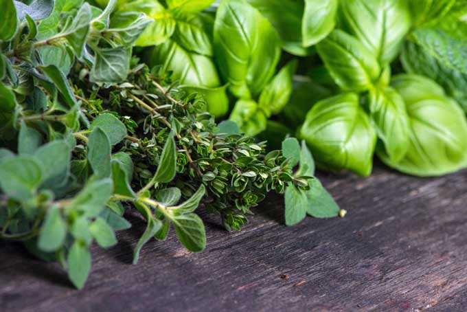 Easy-to-grow-mediterranean-herbs