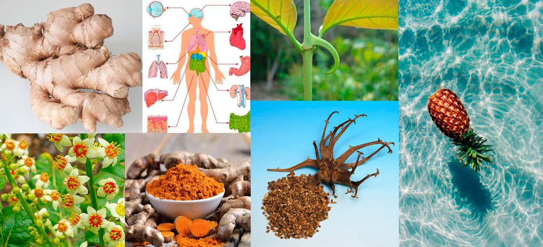 10 antiinflamatorios que debes conocer